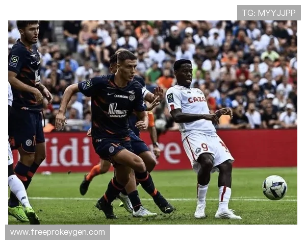 蒙彼利埃球队分析