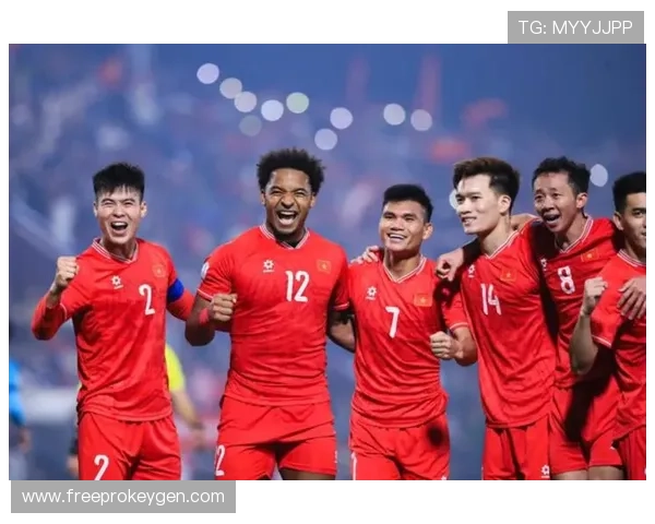 越南国家队东盟杯冠军